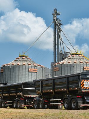 Veja o post completo