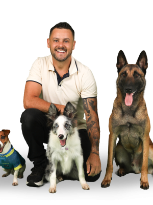 Veja o post completo