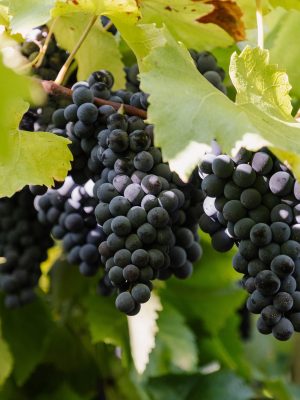 Veja o post completo