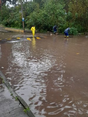 Veja o post completo