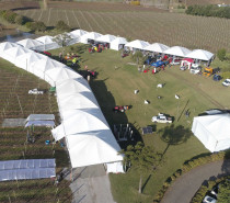 Cooperativa Vinícola Aurora projeta público de 5 mil pessoas em feira voltada à vitivinicultura