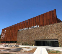 Líder de mercado, Vinícola Aurora celebra 89 anos com faturamento histórico de R$ 558 milhões