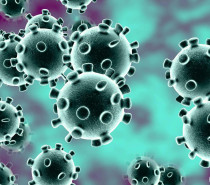 10 boas notícias sobre o coronavírus em meio a “pandemia de medo”