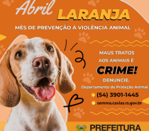 Abril Laranja promove a prevenção contra a crueldade animal