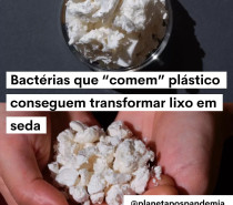 Bactérias que “comem” plástico podem transformar lixo em seda